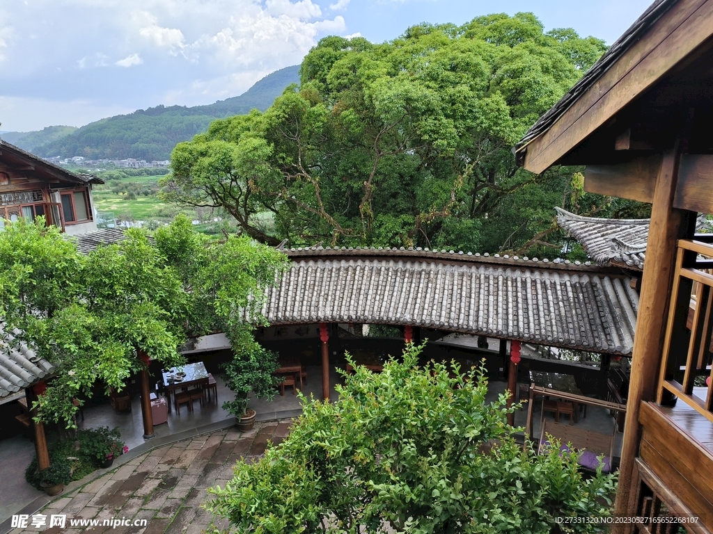 大树村庄