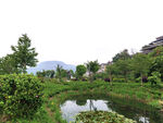 田园美景