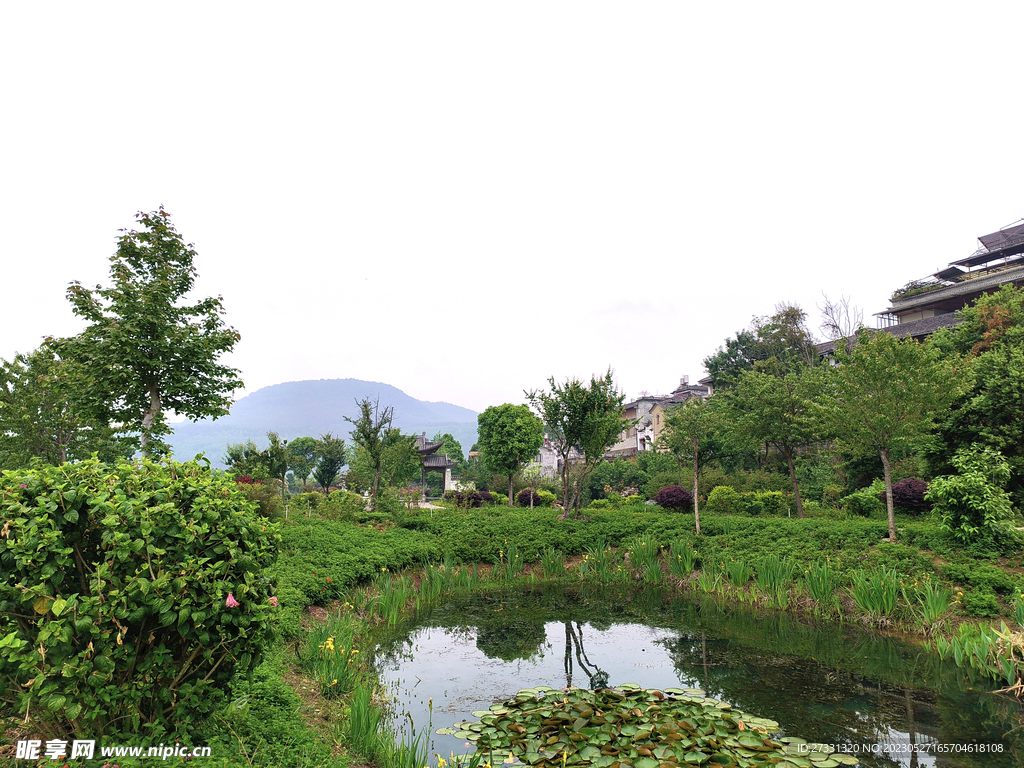 田园美景