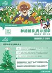 世界无烟日种植粮食而非烟草