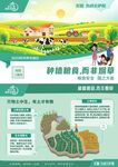 世界无烟日种植粮食而非烟草