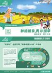 世界无烟日种植粮食而非烟草
