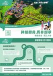 世界无烟日种植粮食而非烟草