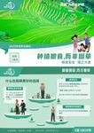 世界无烟日种植粮食而非烟草
