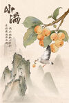 小满