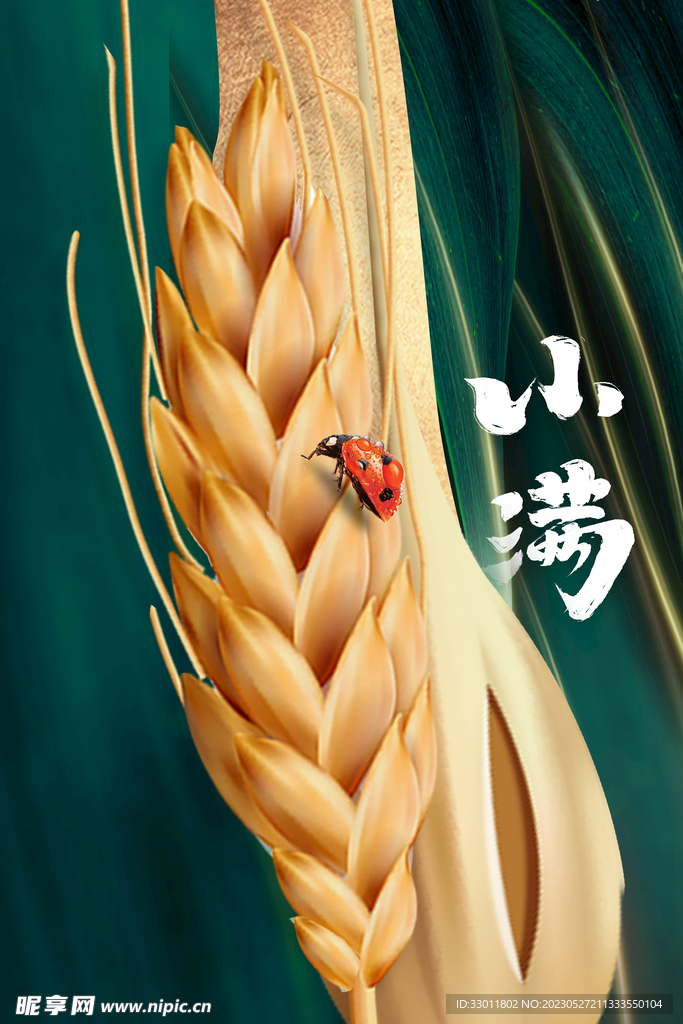 小满
