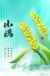 小满