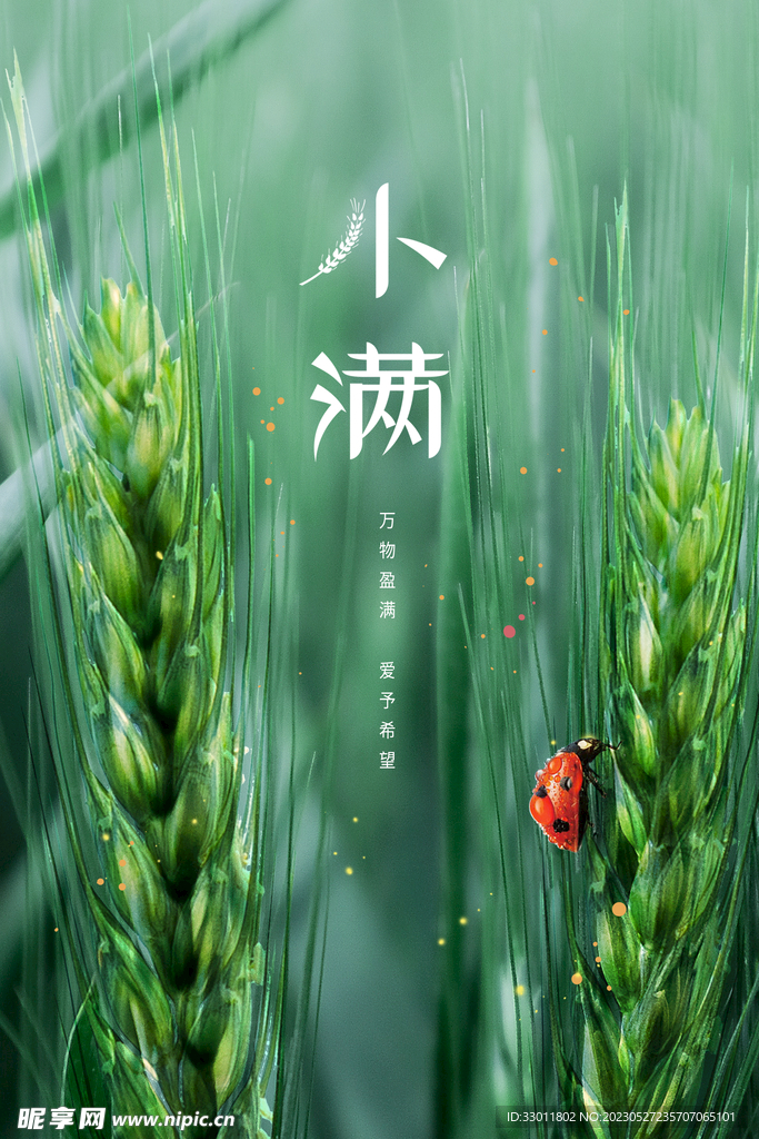 小满