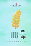 芒种