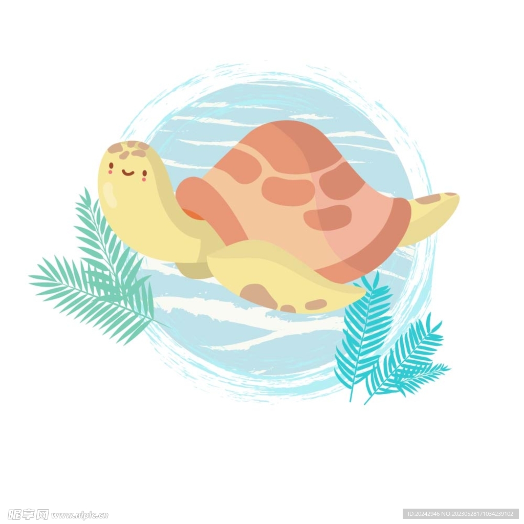 海龟 