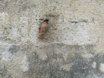 斑驳水泥墙  