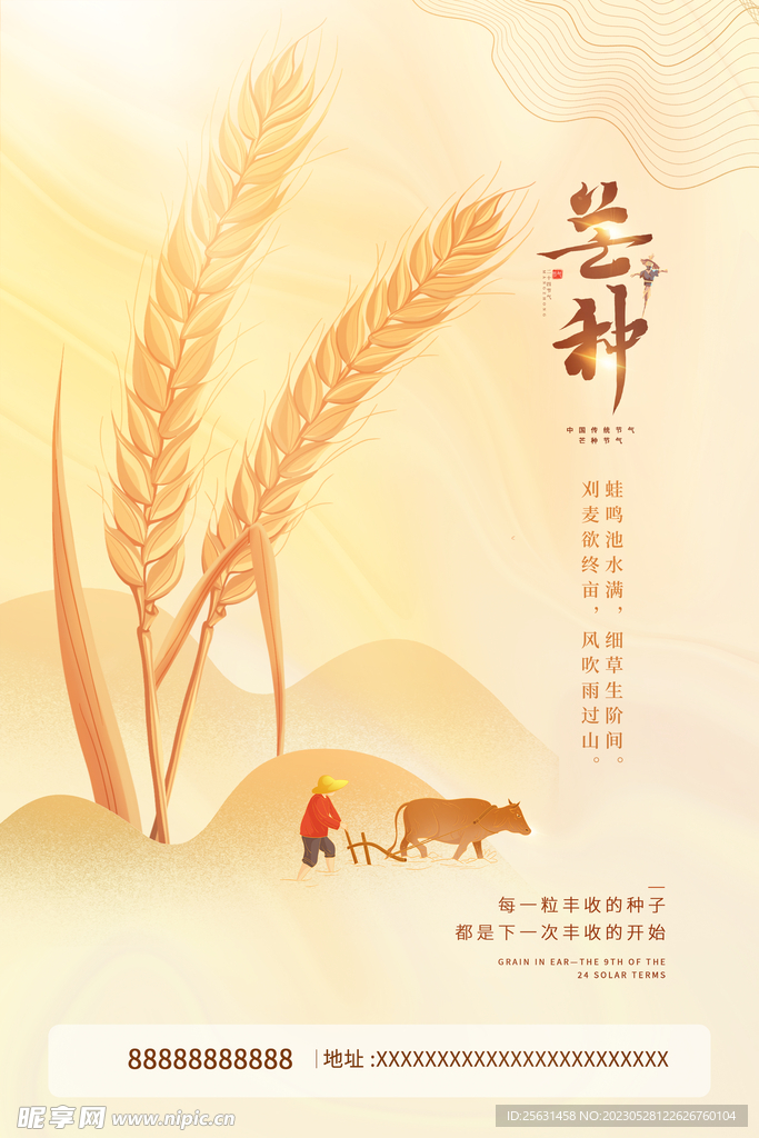 芒种节气
