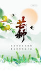 芒种海报
