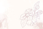 线条花