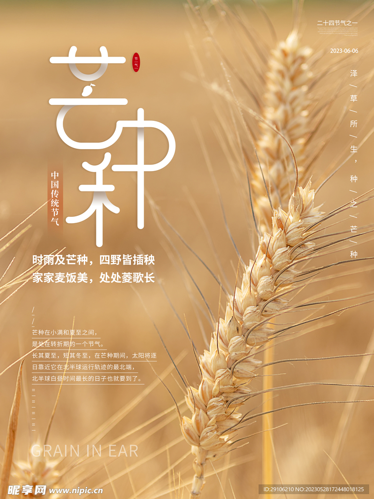 芒种海报