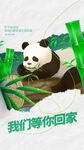 熊猫回家
