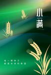小满