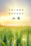 小满