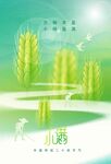 小满