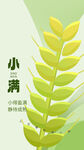小满