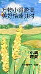 小满