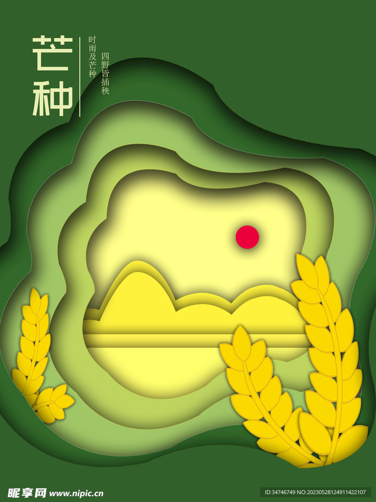 芒种