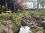 园林景观