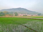 田园风光