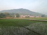 田园风光