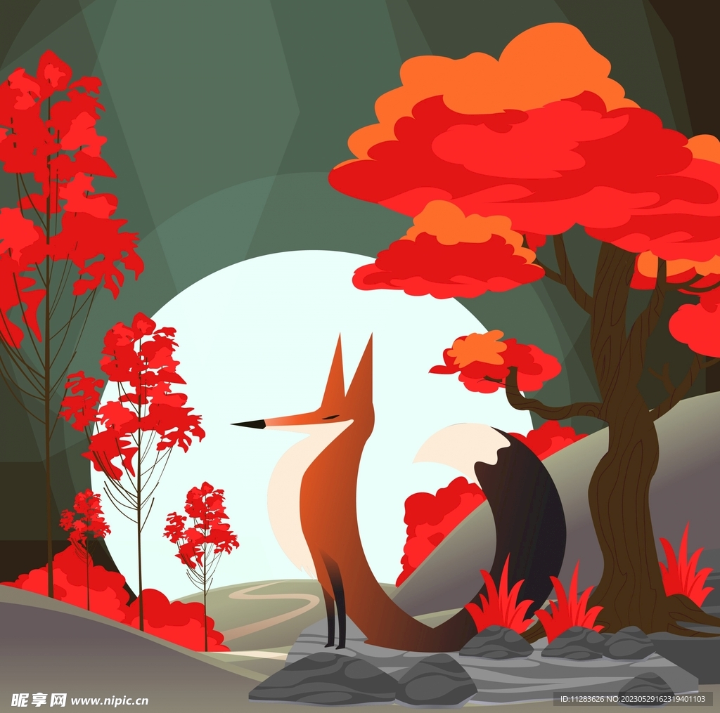 狐狸插画