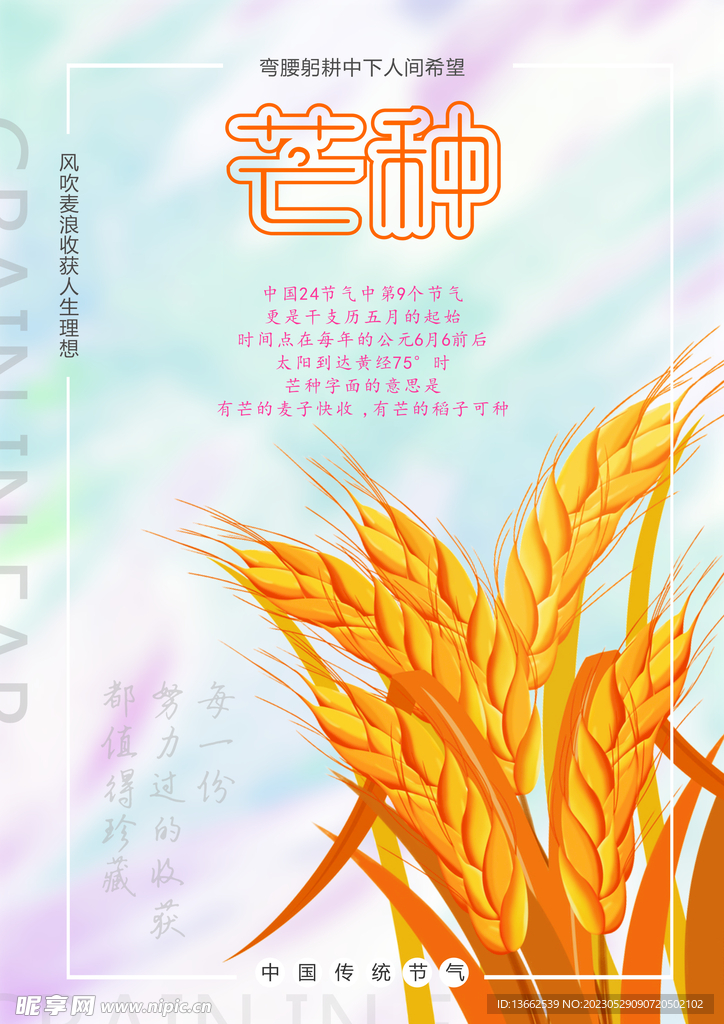 芒种