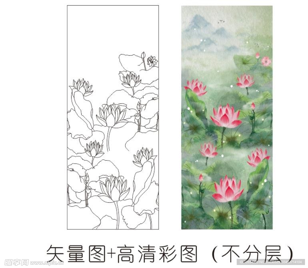 荷花