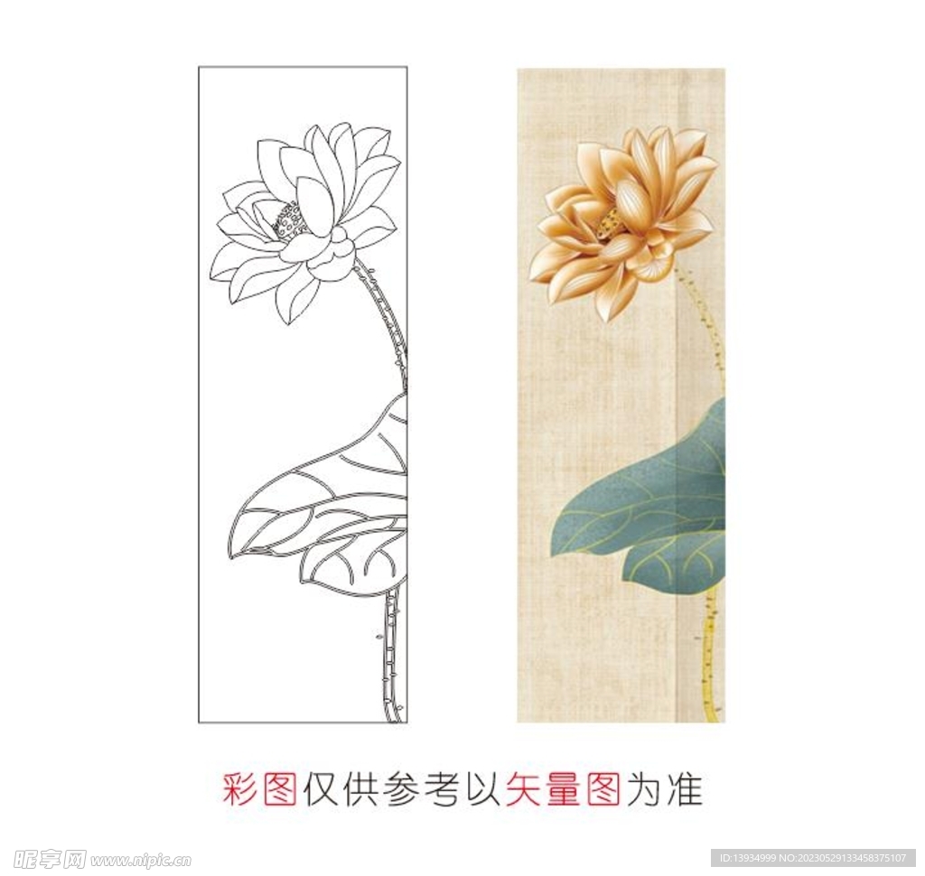 荷花