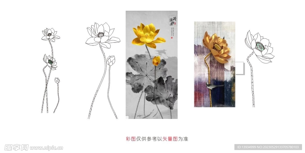 荷花