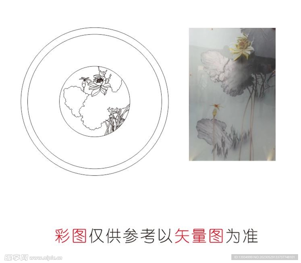 荷花