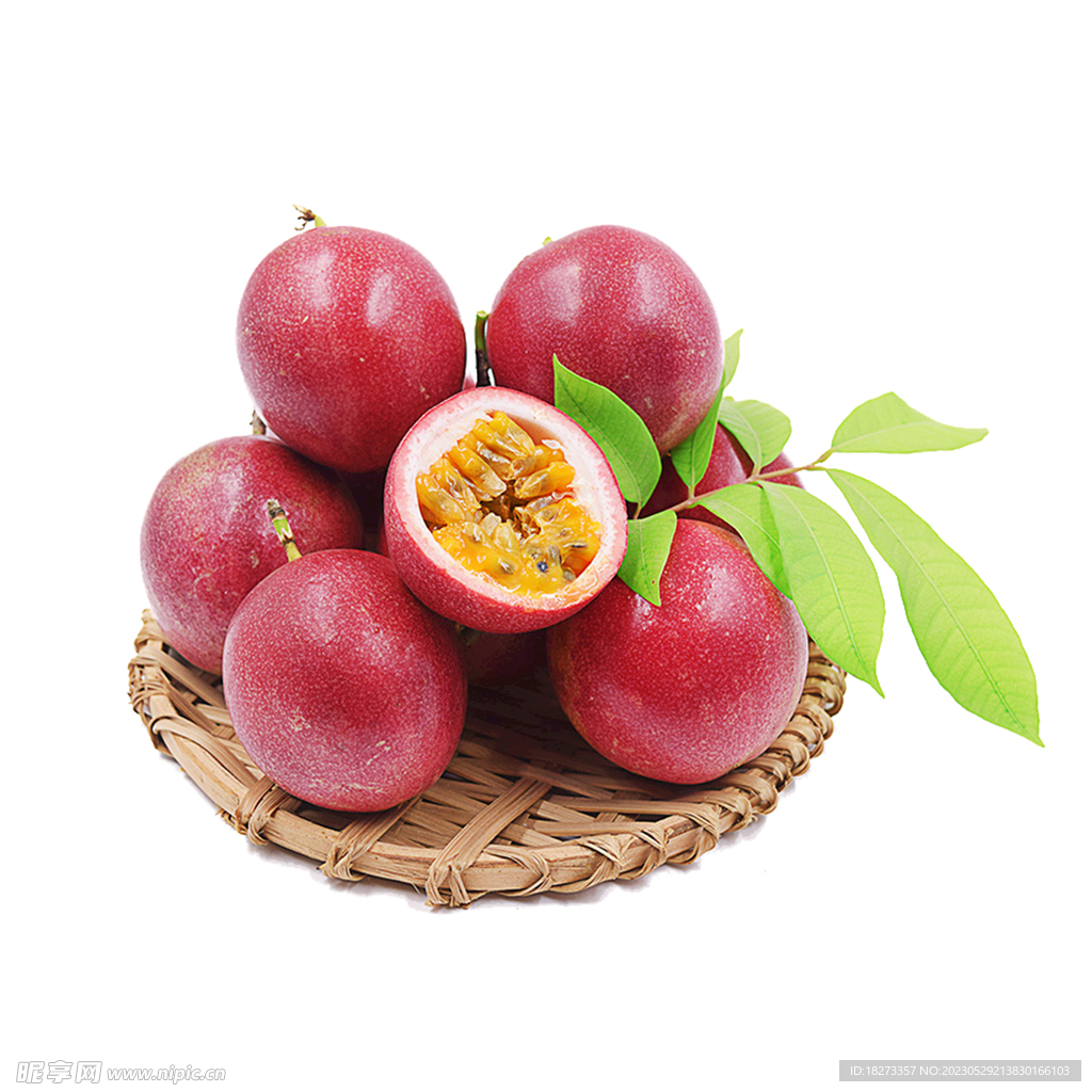 西双版纳当地生长的热带水果及野果（99种）