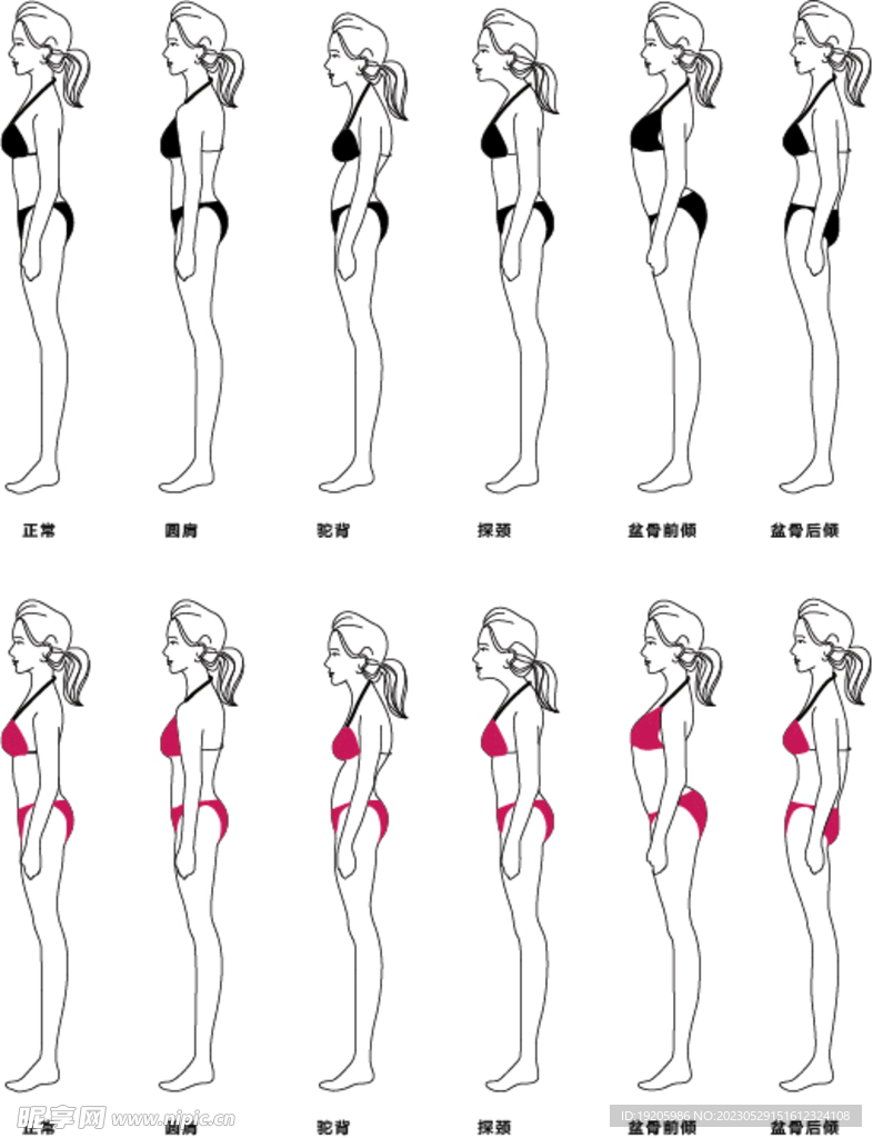 体态体姿矫正对比矢量图