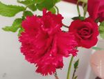鲜花