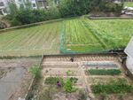 田野菜地