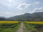春天乡村