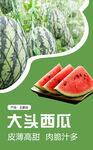 西瓜水果海报