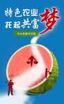 农业创富梦