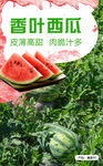 西瓜水果海报