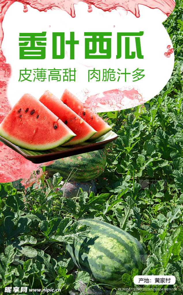 西瓜水果海报