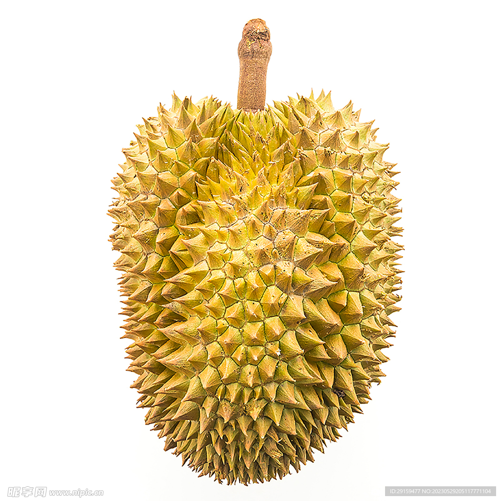 榴莲