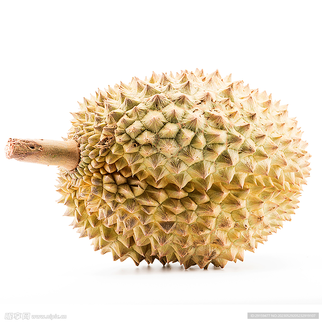 榴莲