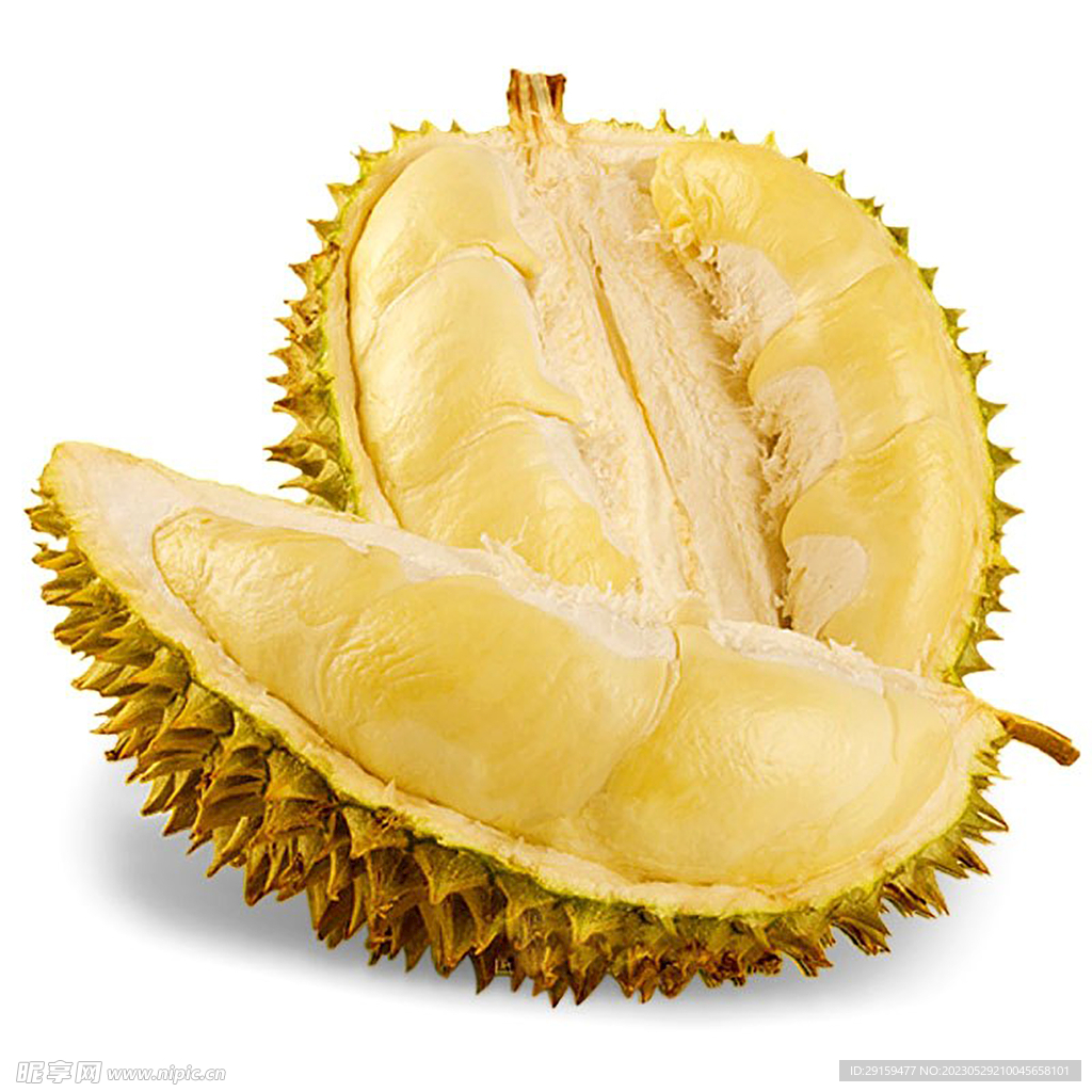 榴莲——Durian！泰国金枕榴莲产品摄影_傲翼品牌策划-站酷ZCOOL