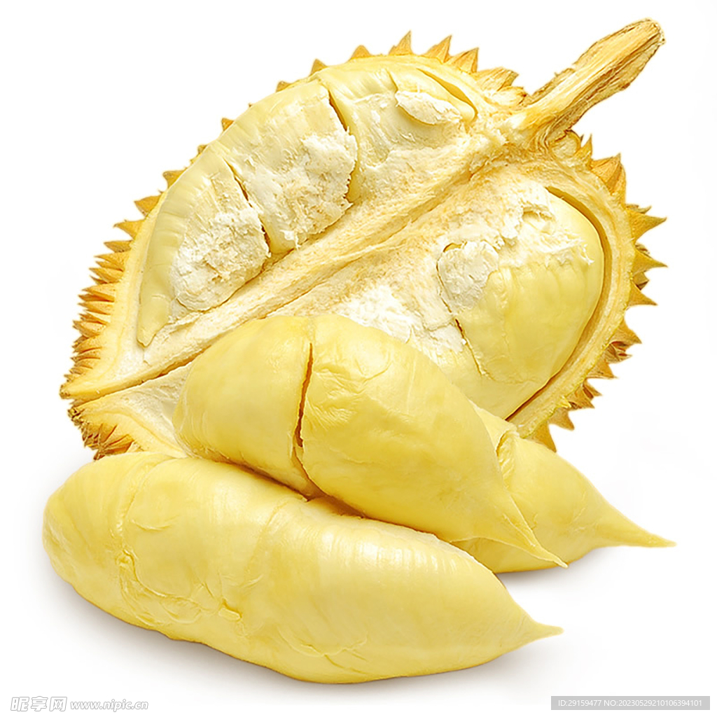 金枕榴莲 