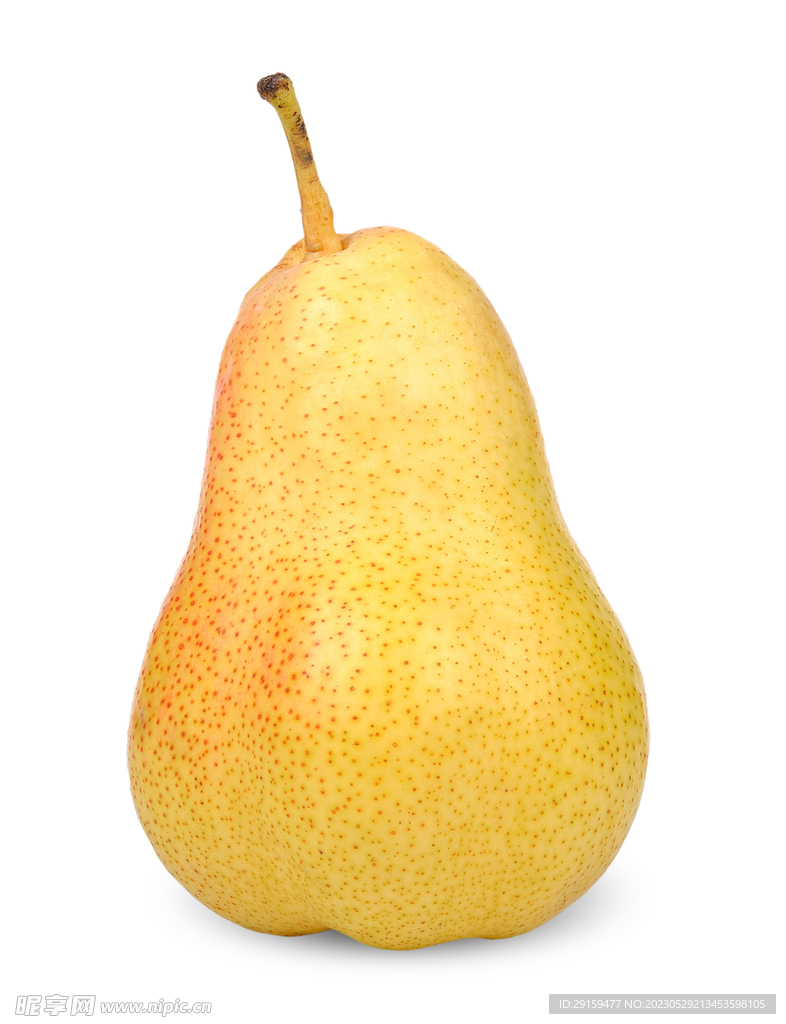 梨 