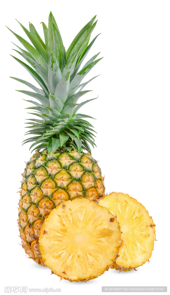 菠萝